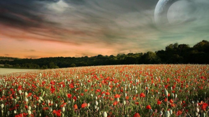 如何看待Scout与前东家EDG官司纠纷败诉，二审被判偿还3341万及利息？